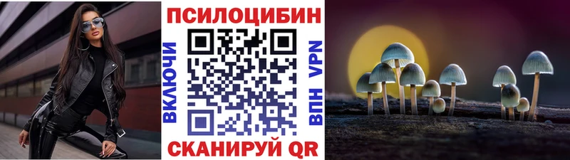 сколько стоит  Саяногорск  Галлюциногенные грибы Psilocybe 